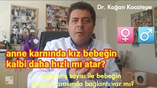 Anne karnındaki bebeğin kalp atış sayısı ile cinsiyeti arasında bir bağlantı var mı [upl. by Hildebrandt]