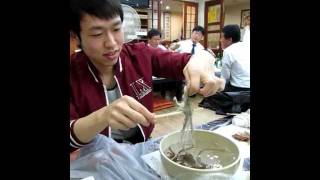 Korean eating living Octopus San Nakji 산낙지 [upl. by Cavil]