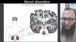 06 14 Hypothalamic–pituitary–adrenalHPA axis and Depressionمحور الوطائيالنخاميالكظري والاكتئاب [upl. by Valerie191]