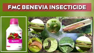 Benevia hindi FMC Insecticide Cyantraniliprole 10 26 OD w w DuPont Benebia Tomotofruits Borer [upl. by Bea802]