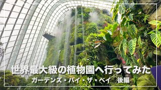 世界最大級の植物園「ガーデンズ・バイ・ザ・ベイ」のクラウドフォレストを観察してきた [upl. by Constant]