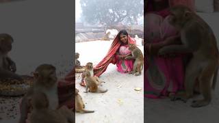 Itni kirpa sanvre banaye rakhna shreekrishnaringtone monkeyvideosforkids monkey [upl. by Mcallister272]