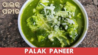 Quick and tasty PALAK PANEER recipe  ପାଲକ୍ ପନୀର  पालक पनीर  Odia Gharani [upl. by Ayadahs]