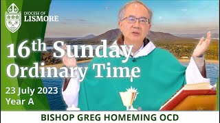 Catholic Mass Today 16th Sunday in Ordinary Time 23 July 2023 Bishop Greg Homeming Lismore Australia [upl. by Ajssatan]