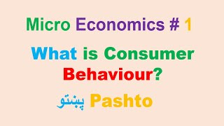 Consumer Behaviour pashto  پښتو [upl. by Lubba]