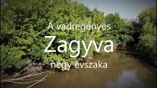 A vadregényes ZagyvaNégy évszaka [upl. by Arabrab]