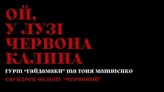 Ой у лузі червона калина гурт Гайдамаки та Тоня Матвієнко [upl. by Keyes850]