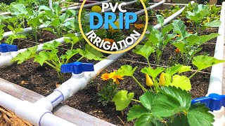 PVC Drip Irrigation System  EASY DIY [upl. by Ecylahs]