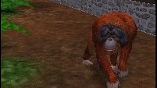 Bornean Orangutan Exhibit Speed Build  Zoo Tycoon 2 [upl. by Yracaz]