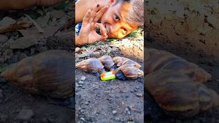 today I will start and be a part of their party 🐌  shortvideo snail bekicot [upl. by Wendel690]