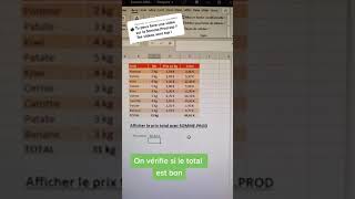 Découvre comment faire une somme conditionnelle dans Excel 💥  Astuce Excel [upl. by Akehs]