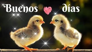 Buenos días🌞Que tu día esté lleno de bendiciones💝Video corto y bonito🌹Ten una gran día🍀 [upl. by Norvol408]