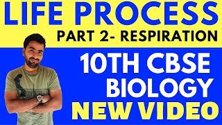 LIFE PROCESS  RESPIRATION PART 2  CLASS 10 CBSE BIOLOGY [upl. by Aloisia958]