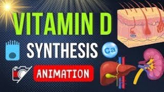 importance of vitamins D [upl. by Rawdin838]