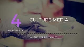 Culture Media [upl. by Nord]