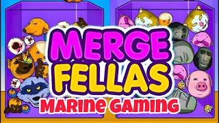 Merge Fellas Live Stream 6  Marine Gaming  shortvideo shortsfeed ytshortsvideo [upl. by Wessling706]