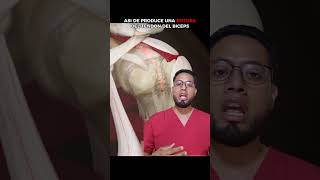 Hombro doloroso dolor hombro anatomia fisioterapia 3danimation greenscreen [upl. by Marybelle]