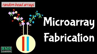 Fabrication Of DNA Microarray  How Microarrays Are Fabricated  Illumina Bead Array [upl. by Yulma]