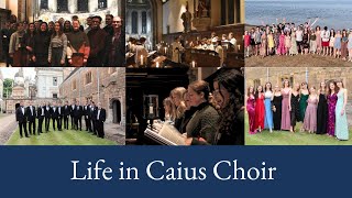 Life in Caius Choir [upl. by Esaertal524]