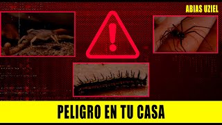 Animales EXTREMADAMENTE PELIGROSOS   Abias Uziel [upl. by Albina]