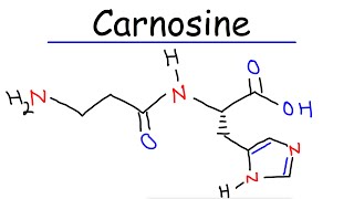 Ambroxol  Uses mechanism of action Most popular cough medication [upl. by Rehposirhc664]