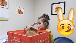 Sick Bunnies Go to the Vet 🤒 WK 3253  Bratayley [upl. by Ecinad703]