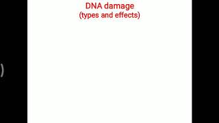 DNA damage  types and effects [upl. by Dhiren]