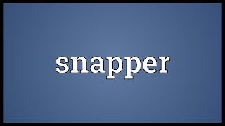 Snapper Meaning [upl. by Nalda]