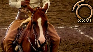 Rienda Charra  Las Calas de Caballo 30 agosto  Campeonato Millonario THV 2023 [upl. by Anama766]