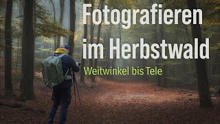 Fotografieren im Herbstwald Nebelbilder mit Weitwinkel und Teleobjektiv [upl. by Dowzall83]