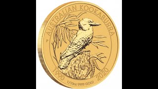 2020 110 Gold Kookaburra low mintage 1st ever Gold kookaburra Lets investigate [upl. by Htur881]