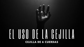 El uso de la cejilla Cejilla de 6 cuerdas [upl. by Baylor110]