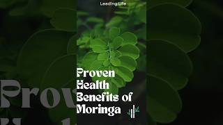 quotWhat Makes Moringa the Ultimate Superfood 🌿quot [upl. by Paxon]