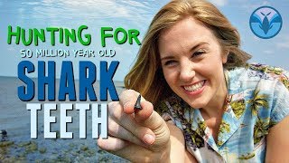 Hunting for 50 MILLION year old Shark Teeth  Maddie Moate [upl. by Artep453]