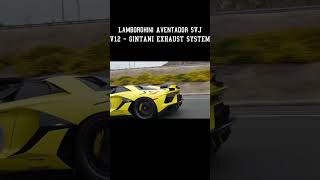 LAMBORGHINI AVENTADOR SVJ  GINTANI EXHAUST SYSTEM [upl. by Deeyn]