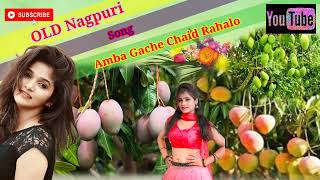 Amba Ghace Chaid Rahalo OLD NAGPURI SONG [upl. by Tarsuss586]