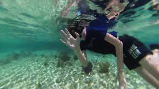 Snorkeling at Cozumel Mexico Bucketlist [upl. by West]