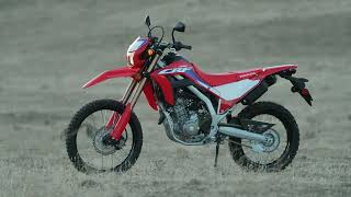 CRF300L VS DRZ400 VS CRF450L  Which one is right for you [upl. by Ledeen]