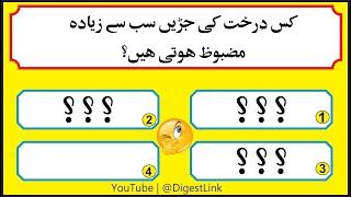 Nayi Urdu Paheliyan Jo Aapko Chakkar Dila Dengi Zabardast Dimaghi Challenge Digest Link [upl. by Kinnon]