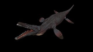 Pliosaurus Asset Showcase [upl. by Eyks]