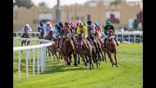 24th Al Rayyan Race Meeting  HE Sheikh Joaan bin Hamad Al Thani Rifle  Season 20232024 [upl. by Nolyaj590]