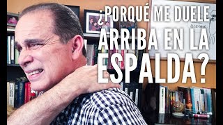 Episodio 1202 Porque me duele arriba en la espalda [upl. by Ifar]