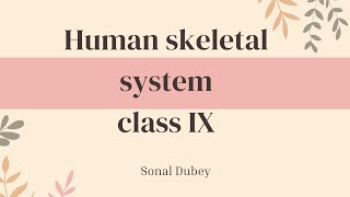 Human skeletal system  class IX ICSE board [upl. by Eremaj]