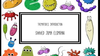 Trematodes introduction [upl. by Tom]