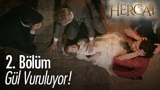 Gül vuruluyor  Hercai 2 Bölüm [upl. by Kindig355]