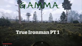 STALKER GAMMA as an OSRS Ironman  Ep 1 The beginning of Truly Handsy [upl. by Ailenroc]