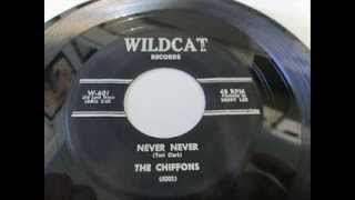 Chiffons aka Unforgettables  Never Never  No More Tomorrows Wildcat 601 1961 [upl. by Arria]