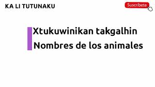 NOMBRES DE ANIMALES EN TOTONACO CON “B Y Cquot  KA LI TUTUNAKU  FILOMENO MATA [upl. by Lockwood]