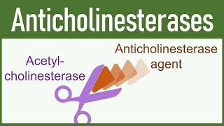 anticholinesterase poisoning [upl. by Otrebcire]