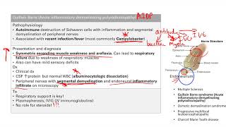 Demyelinating Disease  Nervous system  Step 1 Simplified [upl. by Shantee]